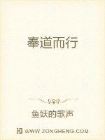 向飞而行小说免费阅读