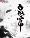 白袍刀客的小说