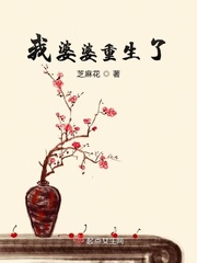 重生婆婆来了电视剧小说