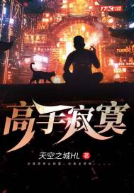高手寂寞小说全文免费阅读无弹窗
