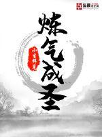 炼气期一共有几层