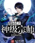 都市之神级高手 小说