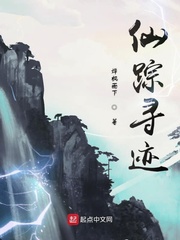 原神寻觅仙踪