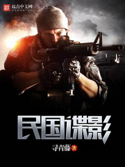 民国谍影和谍影风云是不是一部小说