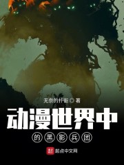 动漫世界中的黑影兵团小说全文免费阅读无弹窗