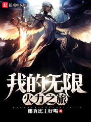 我的无限火力之旅小说全集免费阅读