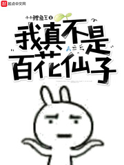 《我真的不是灰姑娘》作者:百代阳曦