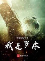 我是罗本小说全文免费阅读下载