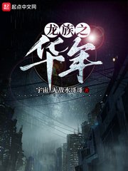 龙族之华年txt小说免费阅读最新章节