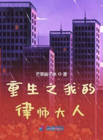 我的律师大人 小说百度百科