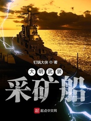 大明武卒小说