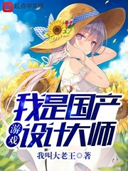 国内游戏设计