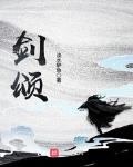 剑颂顶点