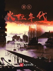 重生火红年代小说在线阅读无弹窗