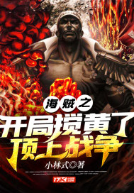 小林传奇 小说
