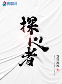 探心者歌曲下载mp3