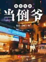 我在欧洲当倒爷