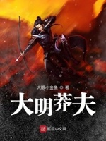 类似大明莽夫小说