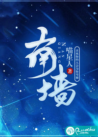 南墙by知安txt百度云