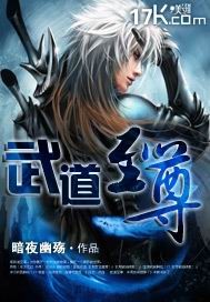 小说武道至尊