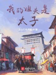 我的姐夫是太子小说免费听书