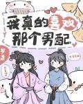 岁盏的小说