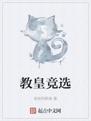 教皇竞选小说阅读免费下载