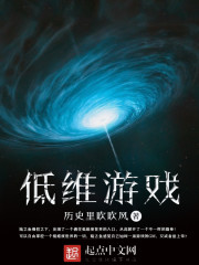 低维游戏小说全文免费阅读