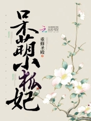 呆萌狐妃:宠入骨
