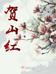 贺红短篇完结