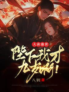 穿越成大唐李承乾的小说