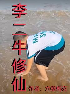 有关李二牛的小说