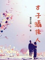 才子撬佳人小说阅读免费全文