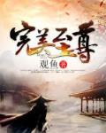 完美至尊小说全集免费下载