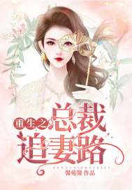 总裁重生追妻记小说