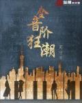 全音阶狂潮 纵横中文网