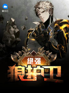 主人公夏雨的小说