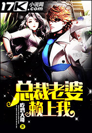 总裁老婆赖上我小说阅读免费下载